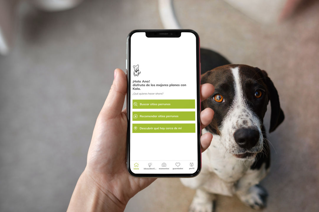 PRINCIPAL_dogvivant_app-1082x721